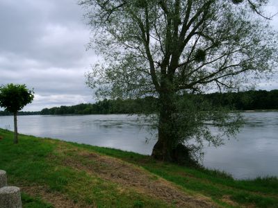 Le Loire
