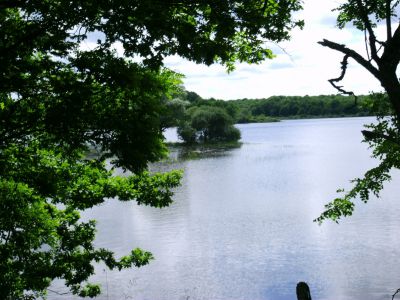 Lac de St Argen
