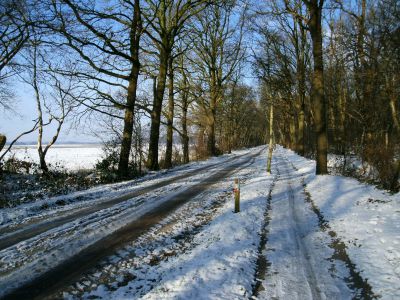 Bois de Noordlaren
